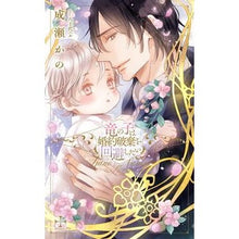 画像をギャラリービューアに読み込む, 竜の子は婚約破棄を回避したい

