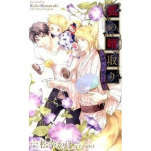 画像をギャラリービューアに読み込む, 狐の婿取り－神様、引っ越すの巻－
