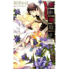 画像をギャラリービューアに読み込む, 狐の婿取り－神様、危機一髪の巻－
