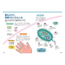 画像をギャラリービューアに読み込む, ずかん　細菌
