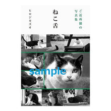 画像をギャラリービューアに読み込む, ご近所猫の写真集　ねこ舌
