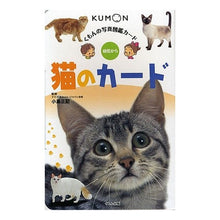 画像をギャラリービューアに読み込む, 猫のカード　第２版
