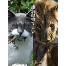 画像をギャラリービューアに読み込む, 捕食動物写真集
