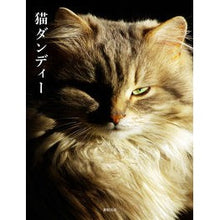 Load image into Gallery viewer, 猫ダンディー
