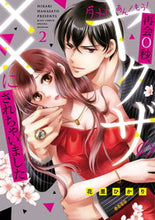 画像をギャラリービューアに読み込む, #花里ひかり #ダメ！あん！もう！再会０秒、ヤクザの２
