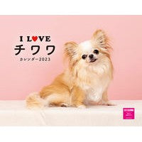 画像をギャラリービューアに読み込む, ’２３　Ｉ　ＬＯＶＥチワワカレンダー
