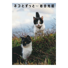 画像をギャラリービューアに読み込む, ネコとずっと Mitsuaki Iwago
