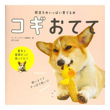 画像をギャラリービューアに読み込む, コギおてて

