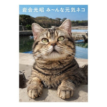 画像をギャラリービューアに読み込む, 岩合光昭　み～んな元気ネコ Mitsuaki Iwago
