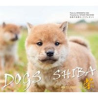 画像をギャラリービューアに読み込む, ミニカレンダー　’２３　ドッグズ　柴
