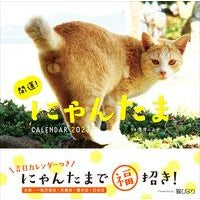 ’２３　開運！にゃんたまカレンダー
