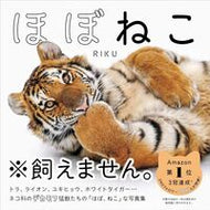 #ＲＩＫＵ #ほぼねこ :9784777830442