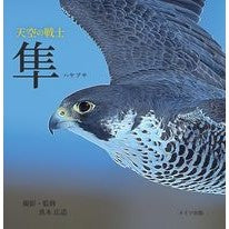 画像をギャラリービューアに読み込む, 天空の戦士　隼
