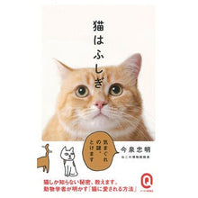 画像をギャラリービューアに読み込む, 猫はふしぎ
