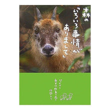 画像をギャラリービューアに読み込む, 森の「いろいろ事情がありまして」
