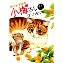 Load image into Gallery viewer, キジトラ猫の小梅さん　　１１
