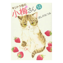 Load image into Gallery viewer, キジトラ猫の小梅さん　　１４
