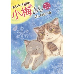 キジトラ猫の小梅さん　　２２