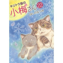 画像をギャラリービューアに読み込む, キジトラ猫の小梅さん　　２２
