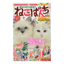 画像をギャラリービューアに読み込む, ねこぱんち　猫結び号
