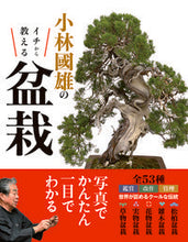 画像をギャラリービューアに読み込む, #小林國雄監修 #小林國雄のイチから教える盆栽
