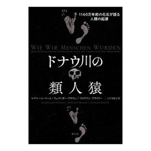 画像をギャラリービューアに読み込む, ドナウ川の類人猿　１１６０万年前の化石が
