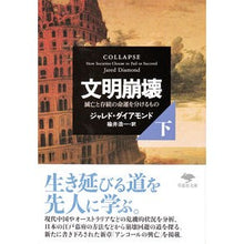 画像をギャラリービューアに読み込む, 文明崩壊　下
