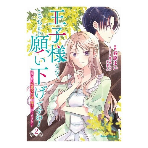 王子様なんて、こっちから願い下げです　２