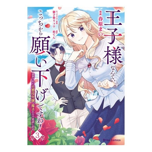 王子様なんて、こっちから願い下げです　３