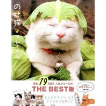 Load image into Gallery viewer, のせ猫・プレミアム SHIRONEKO Top Cat Premium
