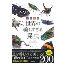 画像をギャラリービューアに読み込む, 原色図鑑　世界の美しすぎる昆虫

