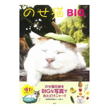画像をギャラリービューアに読み込む, のせ猫ＢＩＧ
