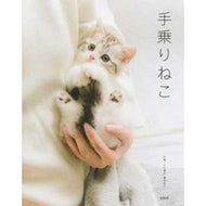 手乗りねこ Ogawa Akiyo Cat on hand