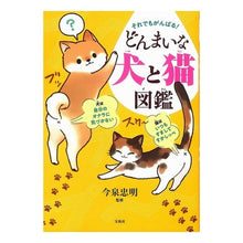 画像をギャラリービューアに読み込む, ＃今泉 忠明 ＃それでもがんばる！どんまいな犬と猫図鑑 : イマイズミタダアキ : Still, I'll do my best! Donmai dog and cat encyclopedia : Imaizumitadaki : 9784800295125
