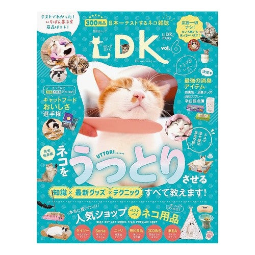 ネコＤＫ　　　６