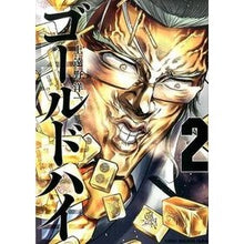 Load image into Gallery viewer, ゴールドハイ　　　２
