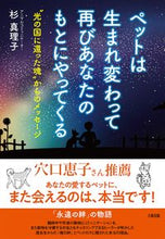 画像をギャラリービューアに読み込む, #杉真理子 #ペットは生まれ変わって再びあなたのもとに
