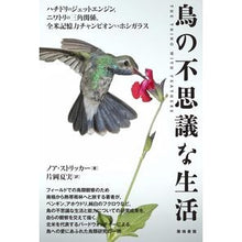 Load image into Gallery viewer, 鳥の不思議な生活　ハチドリのジェットエン
