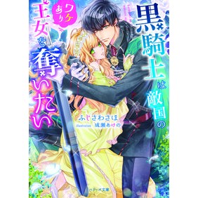 黒騎士は敵国のワケあり王女を奪いたい Fujisawasaho The black knight wants to steal princess from enemy country.