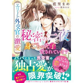 エリート外交官の激愛～秘密の一夜で身ごも
