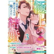 Load image into Gallery viewer, 極上の結婚　　　３～帝王＆富豪編～
