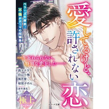 画像をギャラリービューアに読み込む, 愛してるけど、許されない恋　ベリーズ文庫
