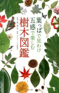 ＃林 将之 ＃葉っぱで見わけ五感で楽しむ樹木図鑑 : ハヤシマサユキ : An illustrated guide to trees that can be distinguished by their leaves and enjoyed with all five : 9784816355905 :9784816355905