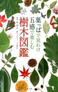 ＃林 将之 ＃葉っぱで見わけ五感で楽しむ樹木図鑑 : ハヤシマサユキ : An illustrated guide to trees that can be distinguished by their leaves and enjoyed with all five : 9784816355905 :9784816355905