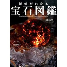 画像をギャラリービューアに読み込む, 価値がわかる宝石図鑑 Swawaskas Gem encyclopedia to understand value
