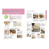 幸せに暮らす柴犬の飼い方 Inoue Makoto How to raise a Shiba Inu live happily