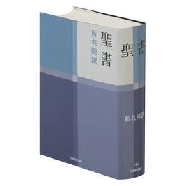 中型聖書　ＮＩ５３