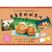 画像をギャラリービューアに読み込む, もるものがたり
