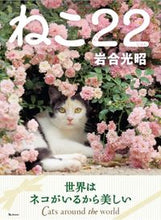 画像をギャラリービューアに読み込む, #岩合光昭 #ねこ２２
