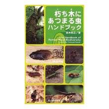 画像をギャラリービューアに読み込む, 朽ち木にあつまる虫ハンドブック
